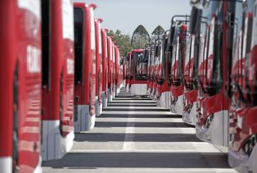 red-buses-line