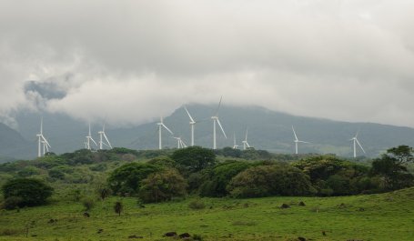 Countries need a variety of solutions, including renewable energy and healthy forests, to reach net-zero greenhouse gas emissions. Photo by Aaron Minnick/WRI.