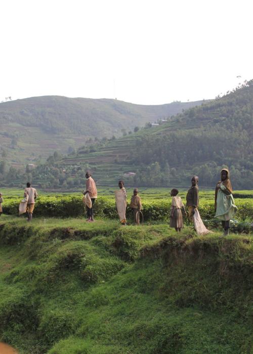 People standing near stream
