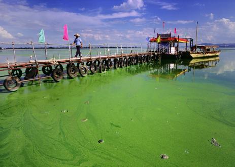 This website serves as an information portal about eutrophication—the over-enrichment of water by nutrients such as nitrogen and phosphorus—a leading threat to water quality around the world. Explore our interactive map and learn more.