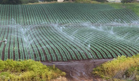 Conventional sprinkler irrigation