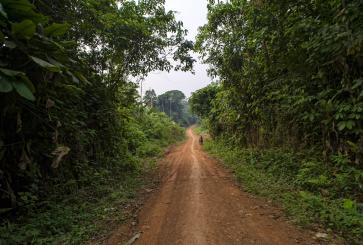 Near Lukolela, DRC. 