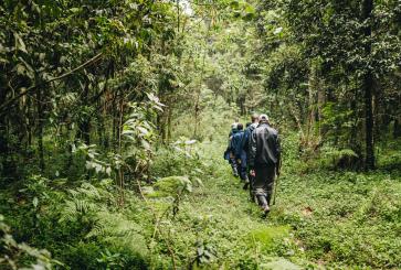 A group of rangers in the forest