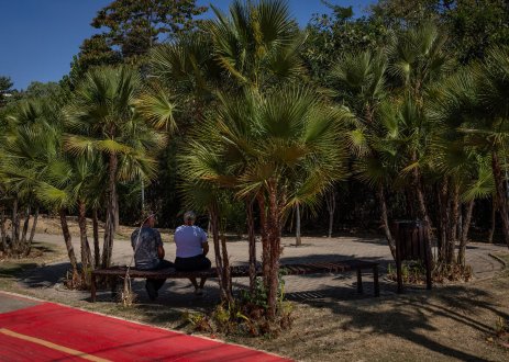 People sitting under trees.