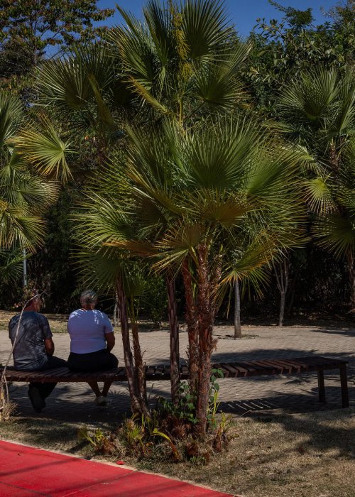 People sitting under trees.
