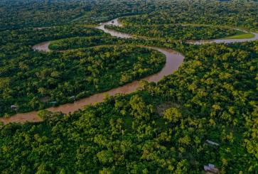 Aerial view over a tropical forest with a river meandering through the canopy