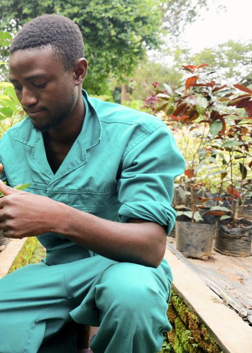 africa-malawi-restoration