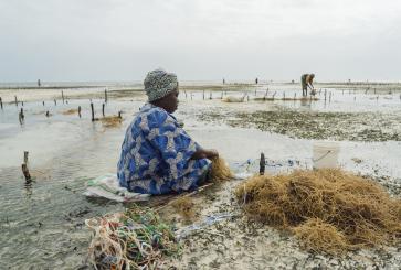 African woman with seaweed