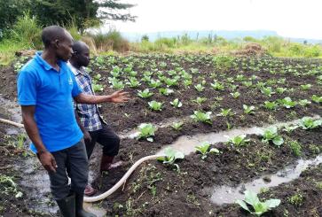Two people talking and standing next to an irrigated crop field. 