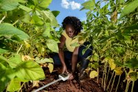 Woman measuring soil health.