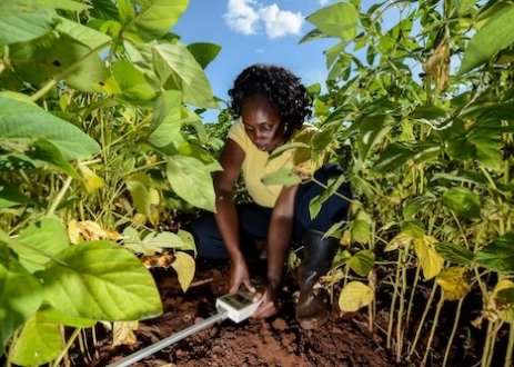 Woman measuring soil health.