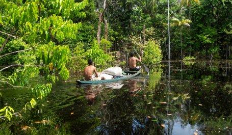 Two men paddle a canoe in the Amazon rainforest. 