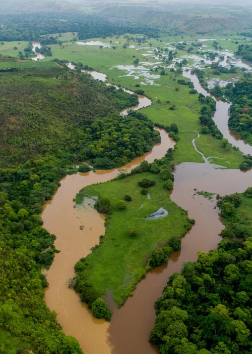 Ariel shot of a river in Brazil