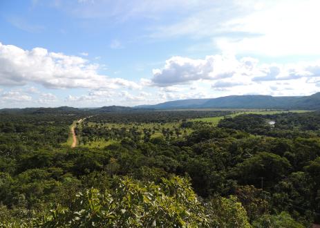 Assisted natural regeneration