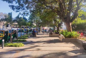 Greenspace in Bengaluru, India.
