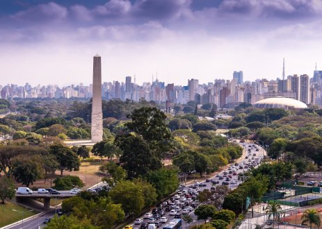The São Paulo skyline behind Ibirapuera Park. The city's urban trees are part of the greater Atlantic Forest ecosystem. Photo by Flávio Jota de Paula/Flickr.
