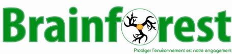 Brainforest logo