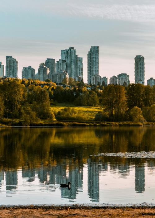 Pond and trees in front of city skyline.