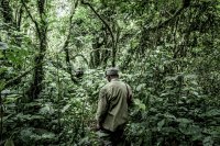 Climate defender in forest.
