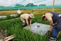 Two workers work to lift a clear box from grasses as part of a climate project.