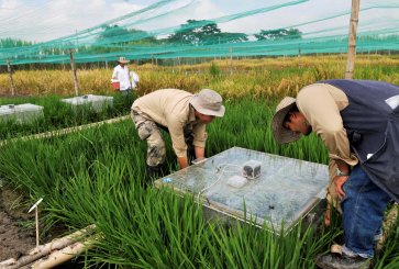 Two workers work to lift a clear box from grasses as part of a climate project.