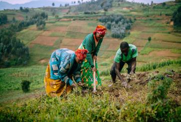 In Rwanda, women’s cooperatives organize farmers to both improve agriculture and the environment. 