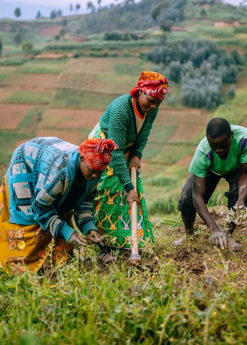 In Rwanda, women’s cooperatives organize farmers to both improve agriculture and the environment. 