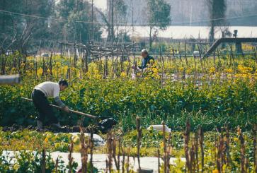 Community members working in a local garden.