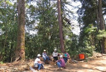 Community forest