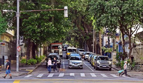 Street crosswalk.