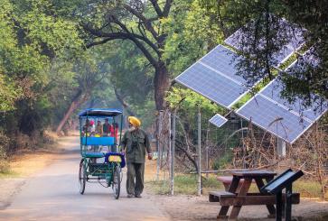 Cycle rickshaw walking in Keoladeo Ghana National Park in Bharatpur, India