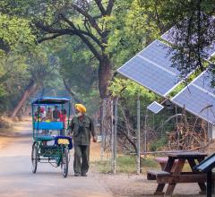 Cycle rickshaw walking in Keoladeo Ghana National Park in Bharatpur, India