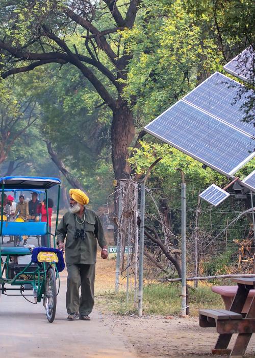 Cycle rickshaw walking in Keoladeo Ghana National Park in Bharatpur, India