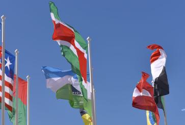 A collection of national flags flying side-by-side.