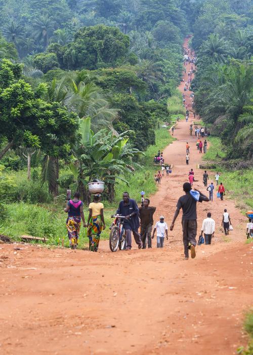 drc-rural-pathways