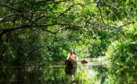 Man in a canoe in Ecuador's Amazon forest