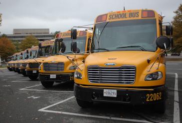 Electric school buses lined up.