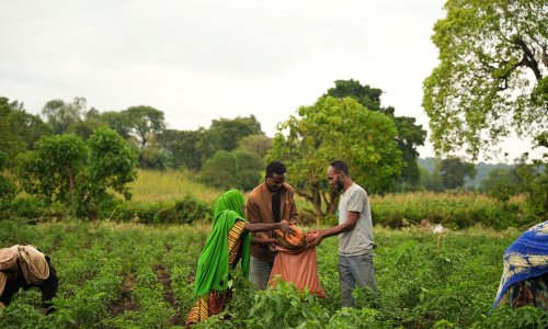 Farmers harvesting crops.