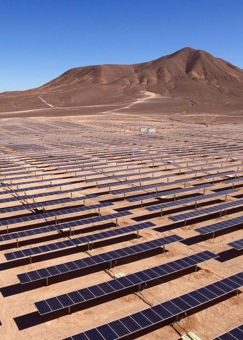 Field of solar panels