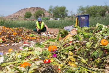 A person crouches down in front of fruits and vegetables set to be compost.