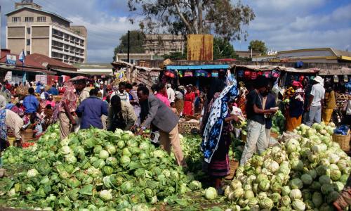 People pick through large piles of fruit and vegetables on the ground at a market. 