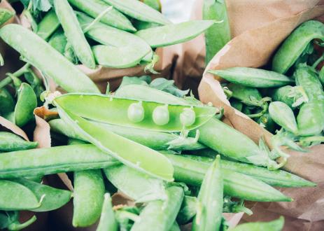 food waste