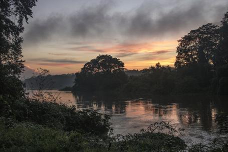 River at sunset with trees