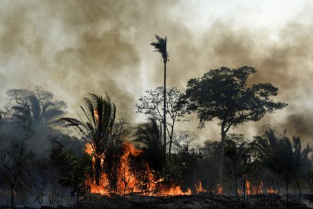 A wildfire burns topical trees in Bolivia.