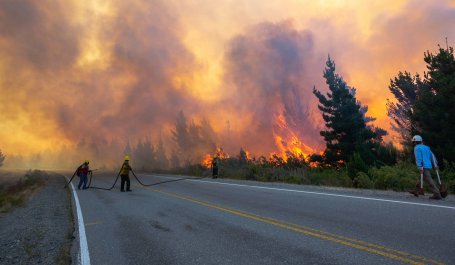 Forest fire fighters battling a blaze near a road.