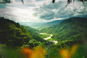 A large, mountainous forest with a river running through the center.