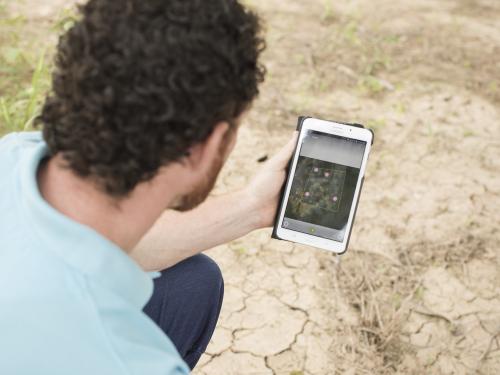 Man using forest watcher app in field.