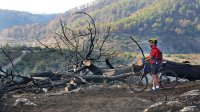 A bicyclist stands next to burned trees overlooking green forested hillsides.