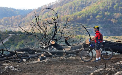A bicyclist stands next to burned trees overlooking green forested hillsides.