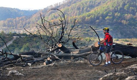 A bicyclist stands next to burned trees overlooking green forested hillsides.